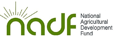Partner 2